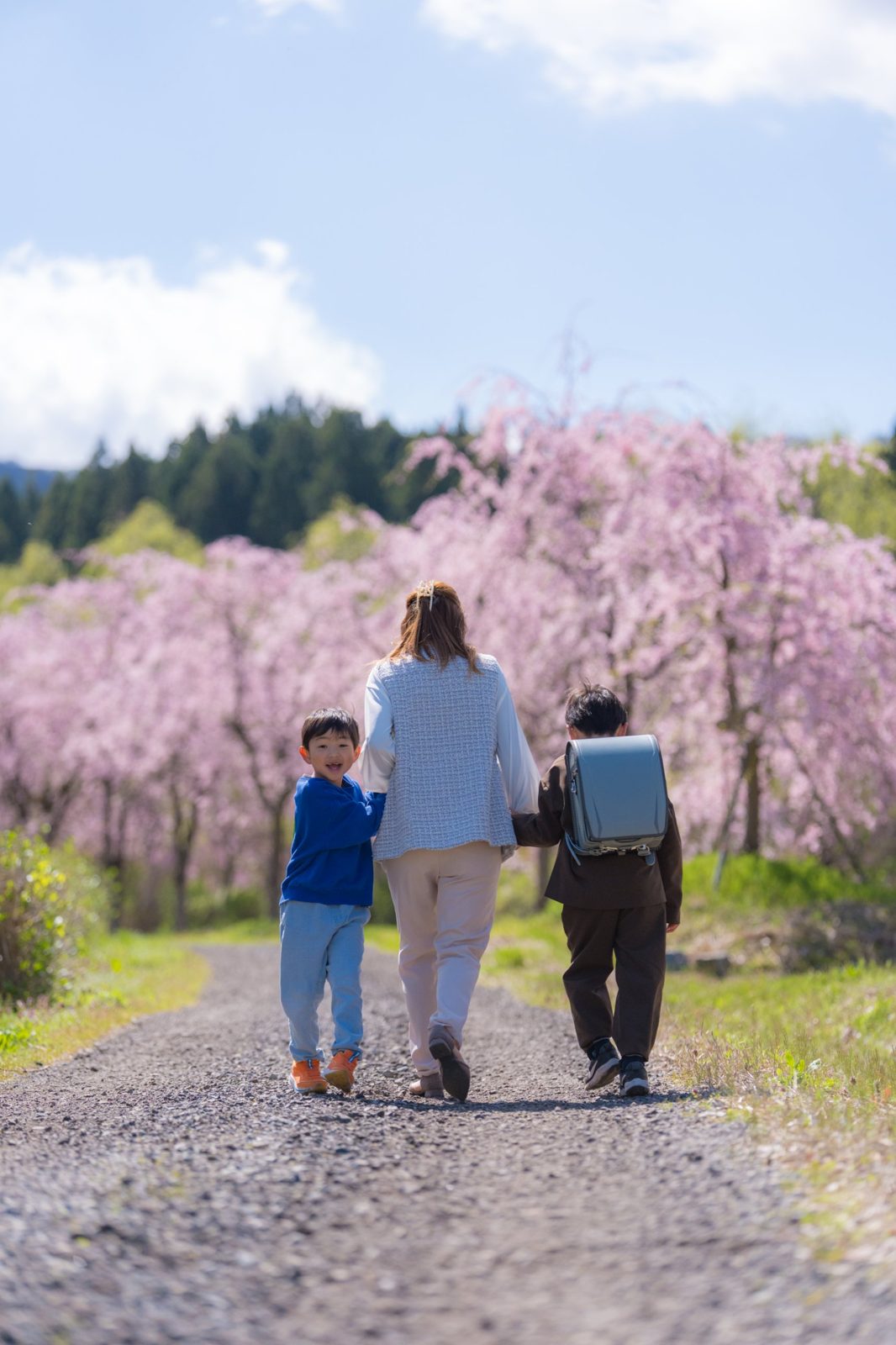 桜並木を歩くお母さんと兄弟、ランドセルを背負った入学の日