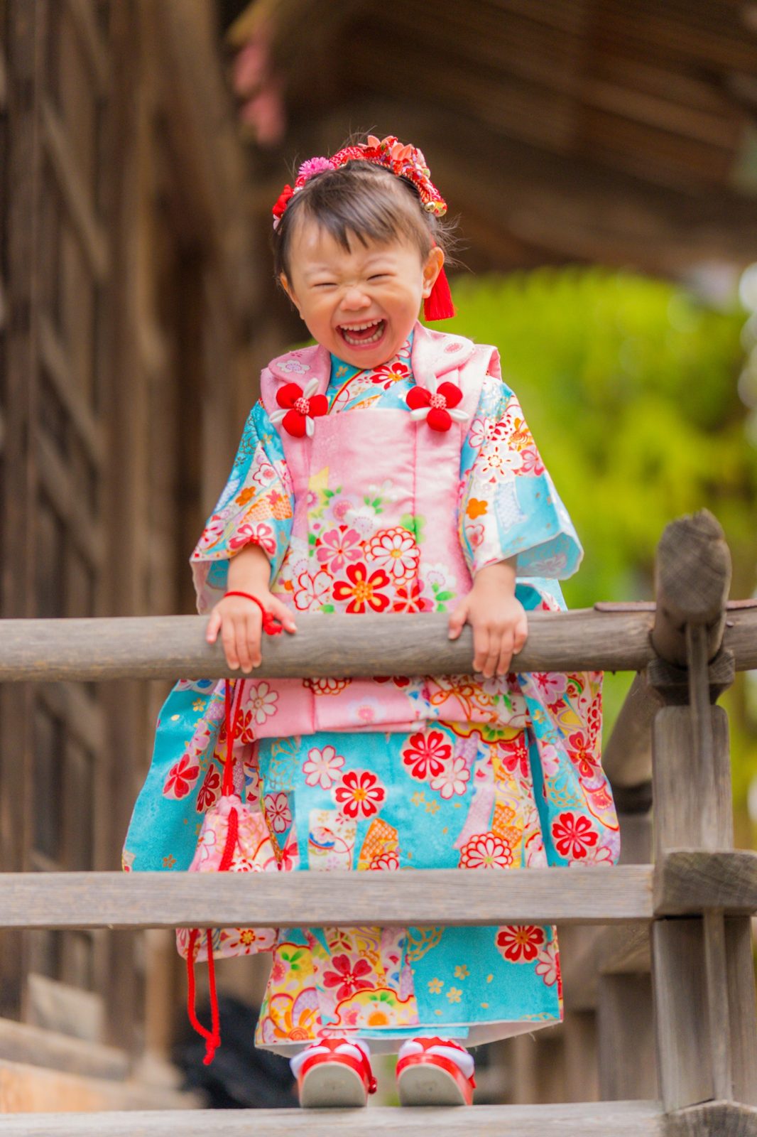 七五三の着物姿で、柵につかまって大笑いする女の子